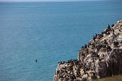 猛兽派对兑换码大全，猛兽派对皮肤兑换代码领取最新